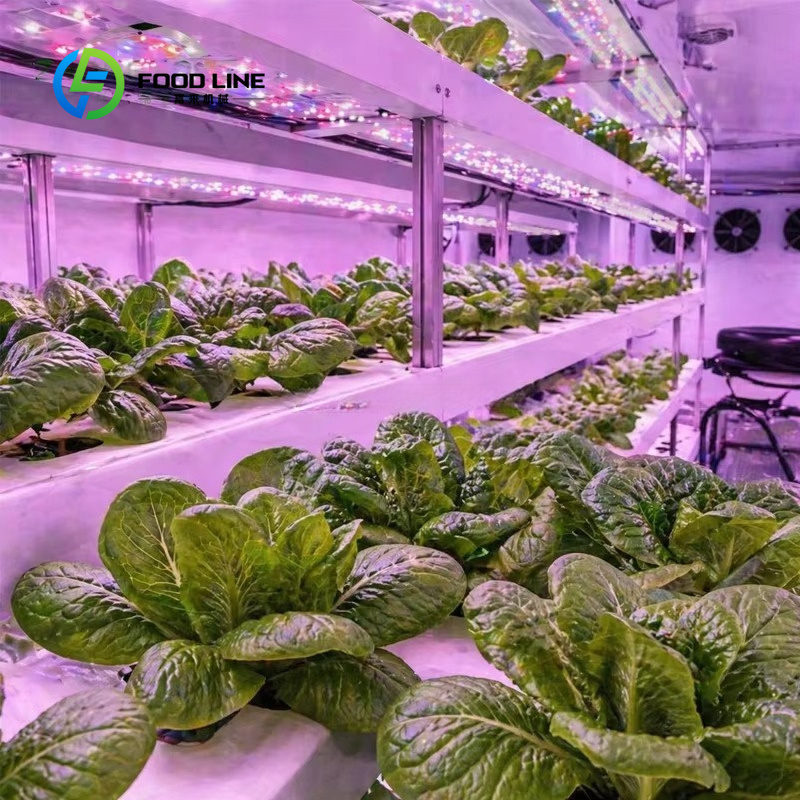 Hydroponische containerfarm vo - Farming Agriculture Project recensie en prijs