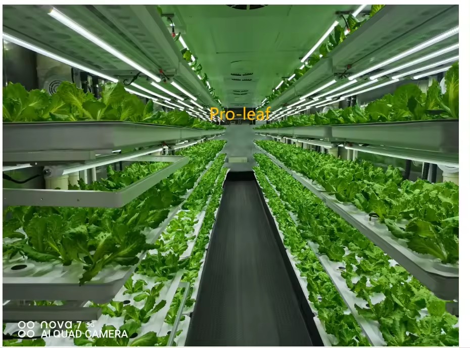 f Kas Landbouwuitrusting Groei - Agriculture Farming System recensie en prijs